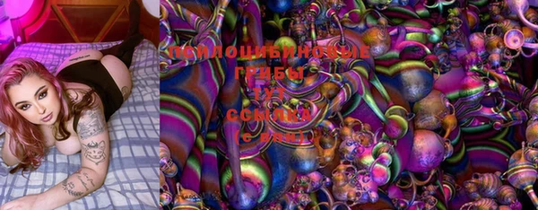 ГАЛЛЮЦИНОГЕННЫЕ ГРИБЫ Белоозёрский