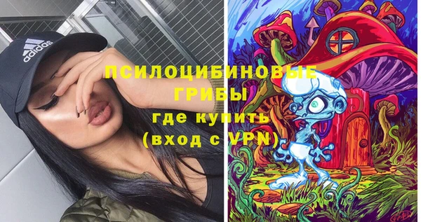 ГАЛЛЮЦИНОГЕННЫЕ ГРИБЫ Белоозёрский
