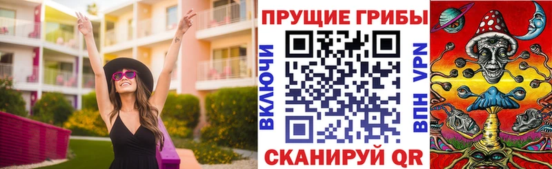 Галлюциногенные грибы Psilocybine cubensis  Гулькевичи 